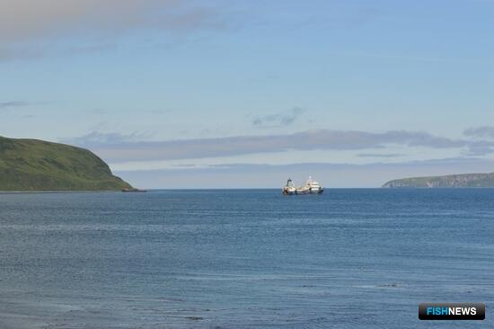 Ученые проанализировали запасы и уловы Северных Курил