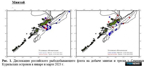 Ученые проанализировали запасы и уловы Северных Курил