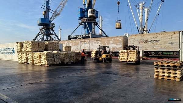 Владморрыбпорт рассказал о своих новых возможностях Владморрыбпорт рассказал о своих новых возможностях