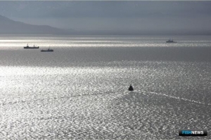 Какие проекты уже предложили по закону об участках и электронных аукционах