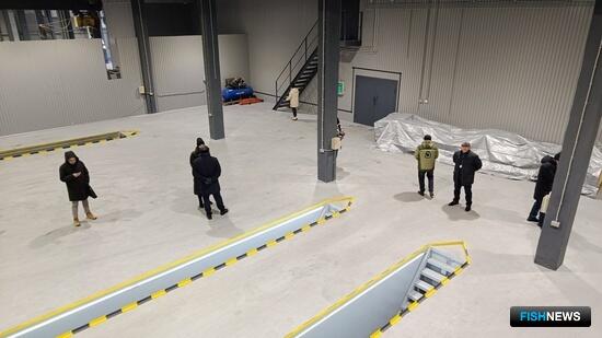 Владморрыбпорт рассказал о своих новых возможностях Владморрыбпорт рассказал о своих новых возможностях