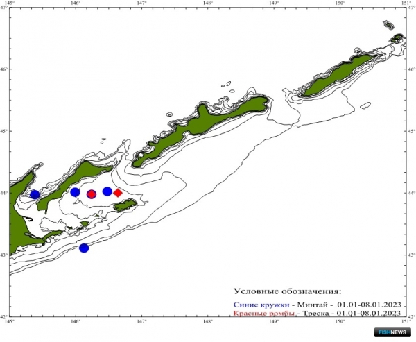 О промысловых запасах Южных Курил рассказал СахНИРО