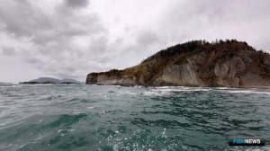 О промысловых запасах Южных Курил рассказал СахНИРО