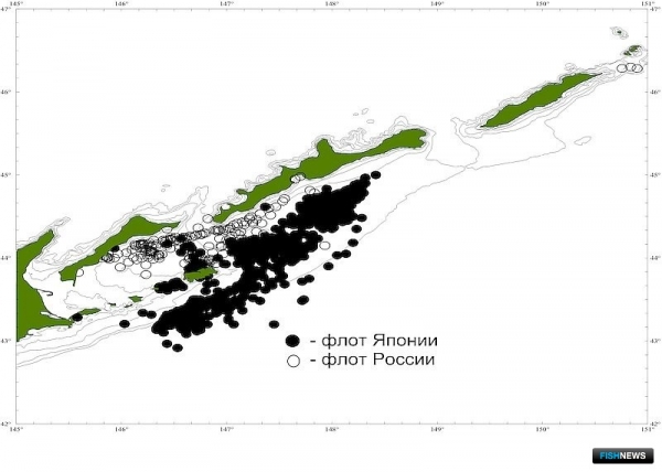 О промысловых запасах Южных Курил рассказал СахНИРО