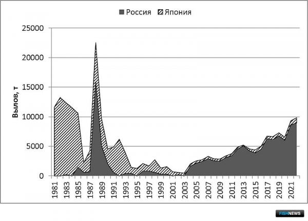 О промысловых запасах Южных Курил рассказал СахНИРО