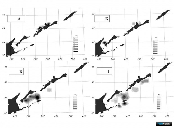 О промысловых запасах Южных Курил рассказал СахНИРО