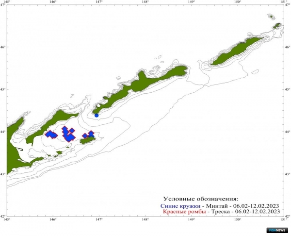 О промысловых запасах Южных Курил рассказал СахНИРО