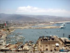 Японский гребешок поедет в США через Мексику