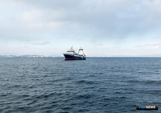 Промысловики ударно подходят к завершению года Промысловики ударно подходят к завершению года