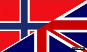 Британия и Норвегия определили условия рыбацкого сотрудничества на 2024 год