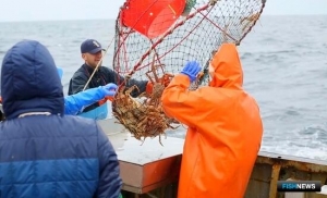 Герман Зверев: Кредиторская задолженность в отрасли показала рекордный рост