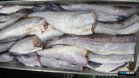 Ассоциация добытчиков минтая выступила с предложениями по &laquo;рыбному&raquo; техрегламенту