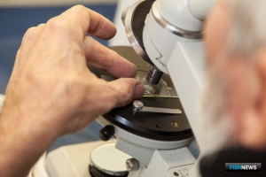 Условия импорта племенной продукции упорядочили