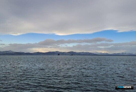 В закон об экологической экспертизе внесли уточнения