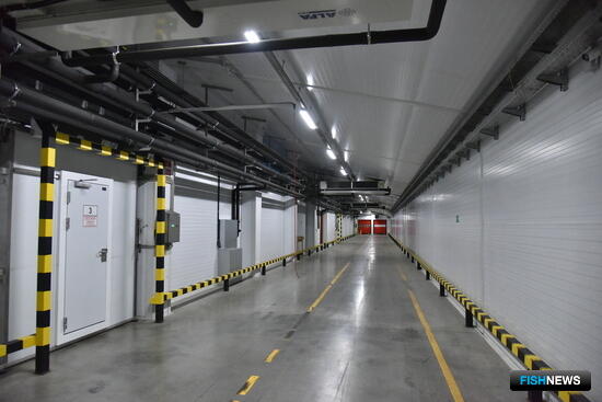 Владморрыбпорт прокомментировал ситуацию с причалами во Владивостоке