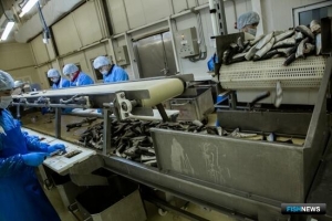 Томская область предложила меры для роста потребления рыбы