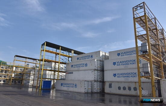 Владморрыбпорт прокомментировал ситуацию с причалами во Владивостоке