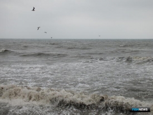 На Сахалине подготовили участок под марикультуру