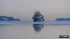 2023 год оказался богат на перемены в отрасли