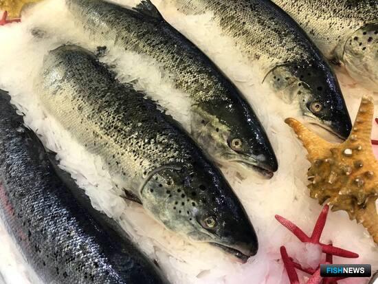 Костромские осетроводы присматриваются к форели