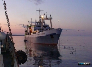 Аналитики ВАРПЭ оценили финансовые показатели отрасли