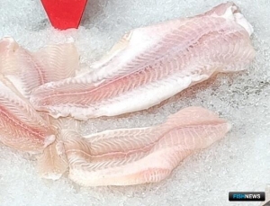 Власти Вьетнама рассчитывают на прибавку в экспорте пангасиуса