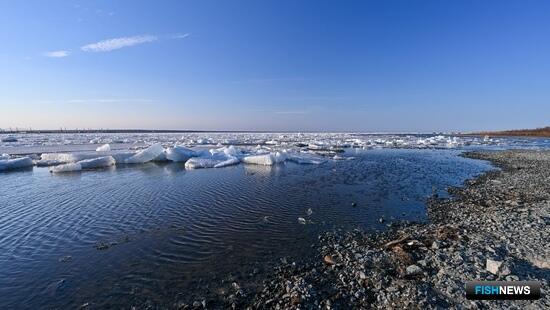 Ученые спокойны за экологию Нижней Оби