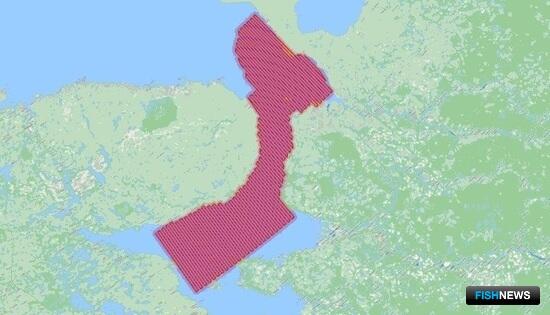 Наука посчитает гренландских тюленей в Белом море Наука посчитает гренландских тюленей в Белом море