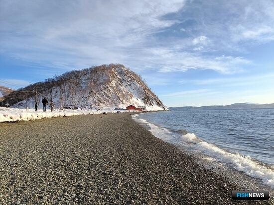 Для ГЭЭ собираются обновить порядок