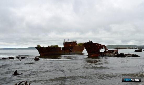 Регионам ДФО наметили планы по &laquo;Генеральной уборке&raquo;