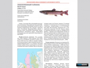 В Красной книге ЯНАО произошли &laquo;рыбные&raquo; изменения