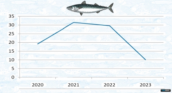 Рекорд по иваси: ученые рассказали об особенностях промысла пелагических объектов