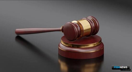 На Алтае суд рассмотрит дела о незаконной добыче рыбы и лося На Алтае суд рассмотрит дела о незаконной добыче рыбы и лося