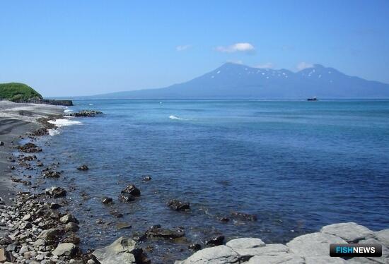 Счетная палата изучит результаты стимулов для развития Курил