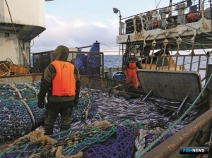 Рыбаки Камчатки надеются на хорошие уловы минтая в этом году