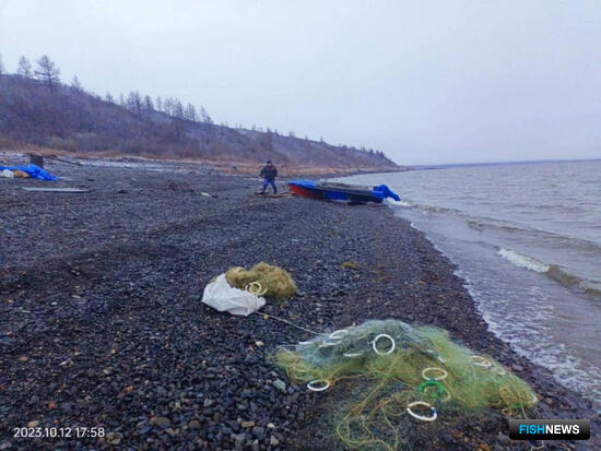 На Таймыре расследуют дело о браконьерстве сига