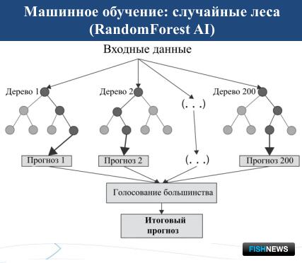 Искусственный интеллект пришел на помощь добытчикам хамсы