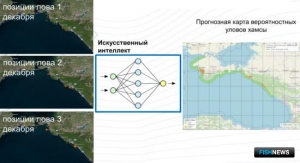 Искусственный интеллект пришел на помощь добытчикам хамсы