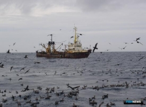 Минсельхоз предложил индикаторы риска для контроля безопасности флота