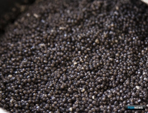 Дело об &laquo;икорной&raquo; ОПГ рассмотрит суд