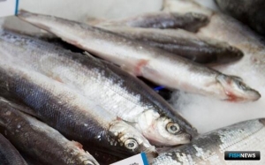 НАО нарастил добычу рыбы