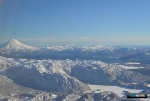 Изучению арктических гольцов на Камчатке посвятили спецпроект