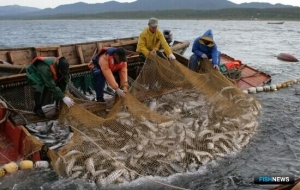 Глава Росрыболовства дал поручения по рыболовным участкам