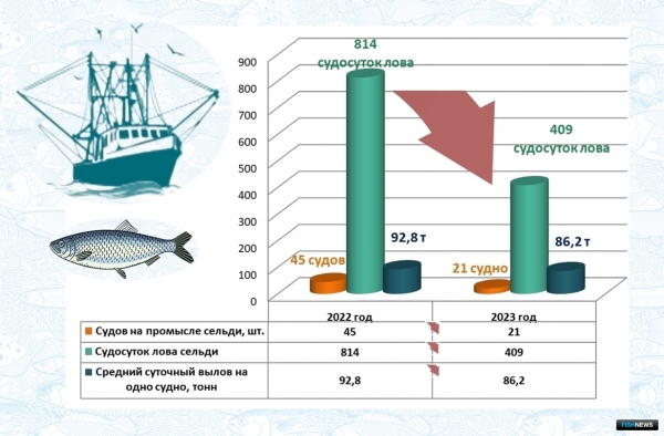Ученые рассказали о тенденциях промысла в Беринговом море