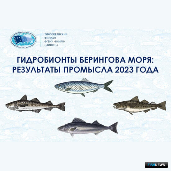 Ученые рассказали о тенденциях промысла в Беринговом море