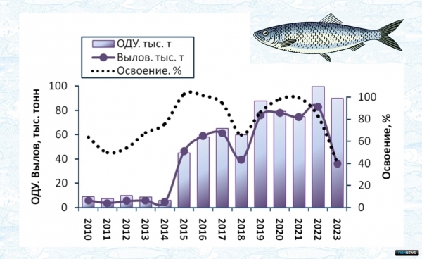 Ученые рассказали о тенденциях промысла в Беринговом море