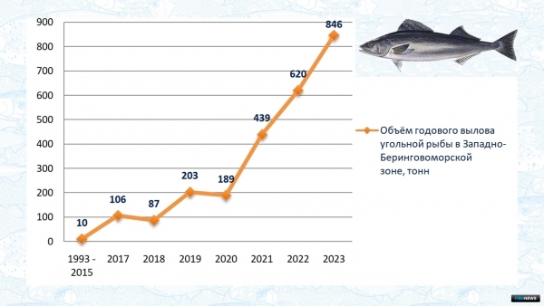 Ученые рассказали о тенденциях промысла в Беринговом море