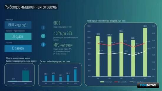 Рыбная отрасль остается среди драйверов экономики Камчатки