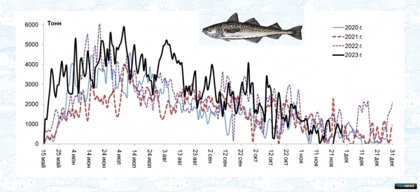 Ученые рассказали о тенденциях промысла в Беринговом море
