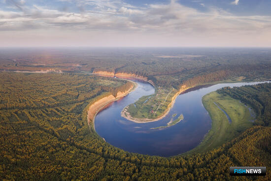 Вологодская область продолжит формировать сеть рыбных заказников